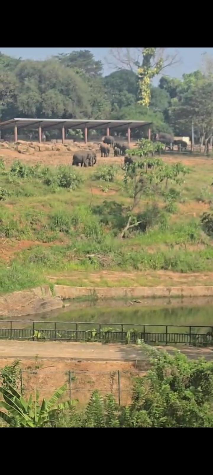 Pinnawala Elephant Front View Hotel Rambukkana Luaran gambar